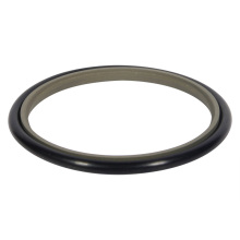 Vedação de Rod Teflon / PTFE para Cilindro